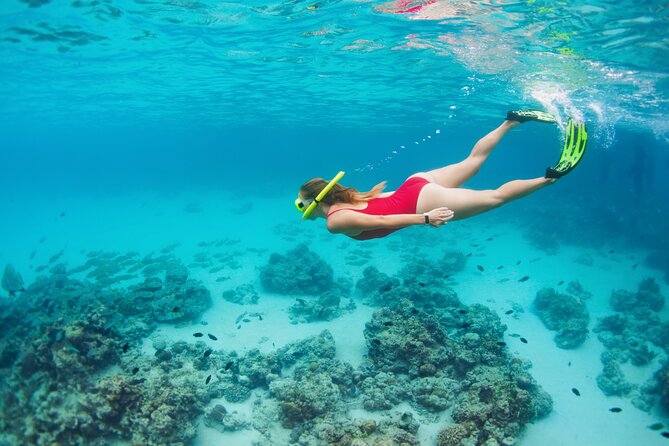 Boat Dive and Snorkeling Experience in Aqaba - Lunch aboard the boat keeps the schedule simple