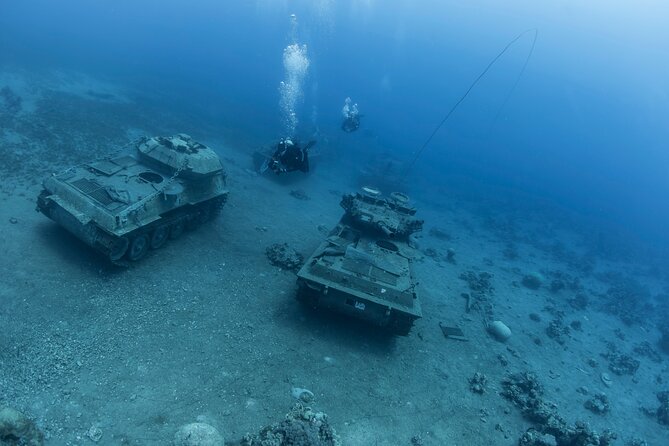Boat Dive and Snorkeling Experience in Aqaba - Pickup, timing, and group size