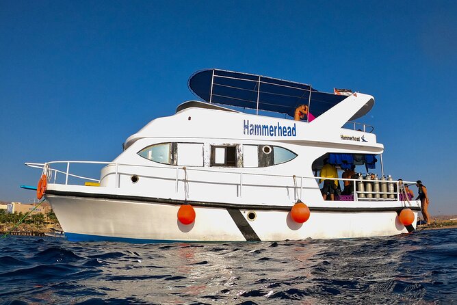 Boat Dive and Snorkeling Experience in Aqaba - Two stops, with scuba at one and snorkeling at the other