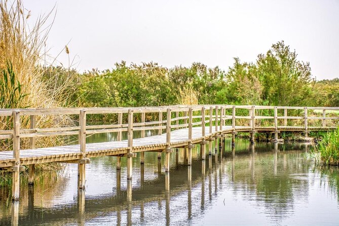 Day Tour Desert Castles & Azraq Wetland Reserve - Why the Eastern Desert Is Worth Your Morning