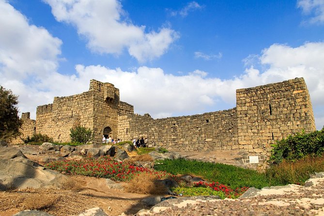 Day Tour Desert Castles & Azraq Wetland Reserve - A Driver, a Guide, or Something Between?