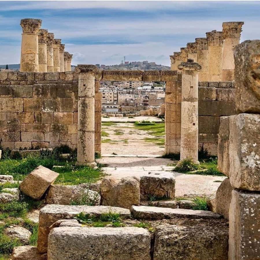 Day Tour Jerash - Ajloun and Um Qais From Amman - Should you book it?