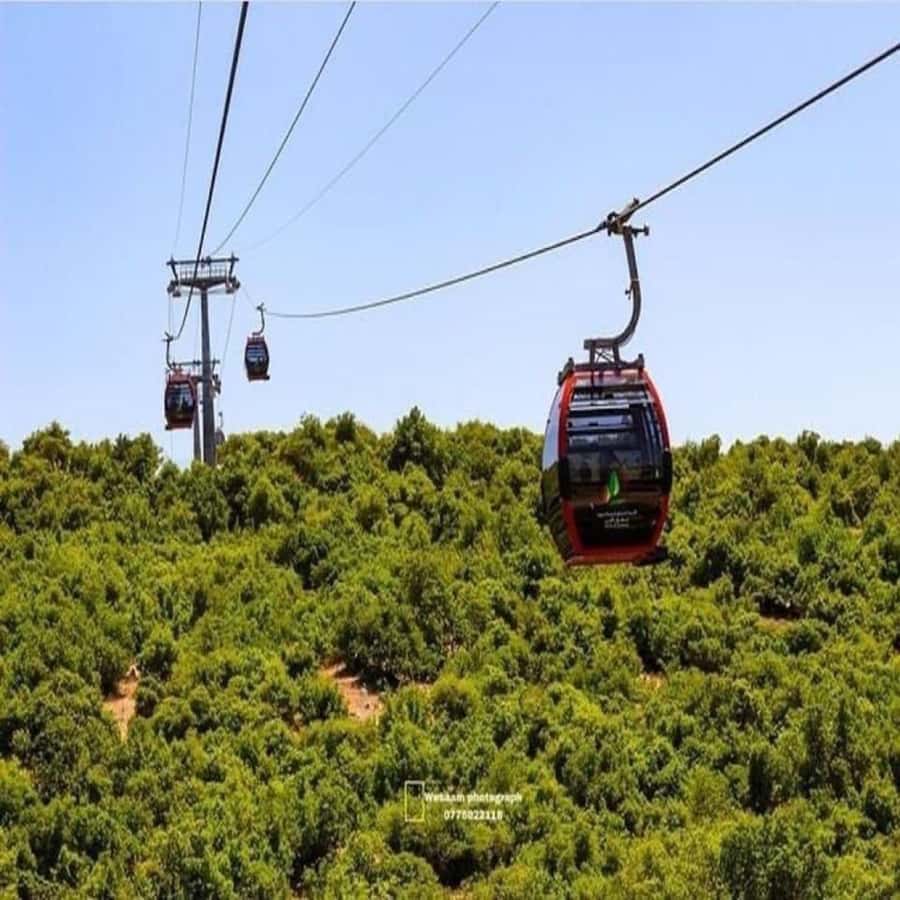 Day Tour Jerash - Ajloun and Um Qais From Amman - What the driver adds to the day