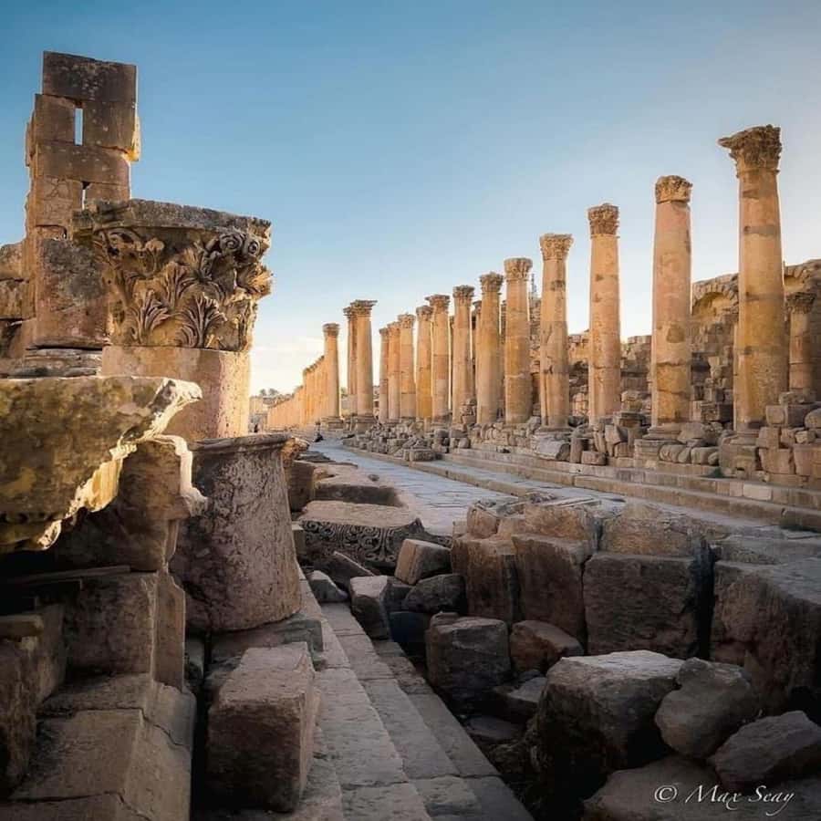 Day Tour Jerash - Ajloun and Um Qais From Amman - Food, breaks, and small comforts