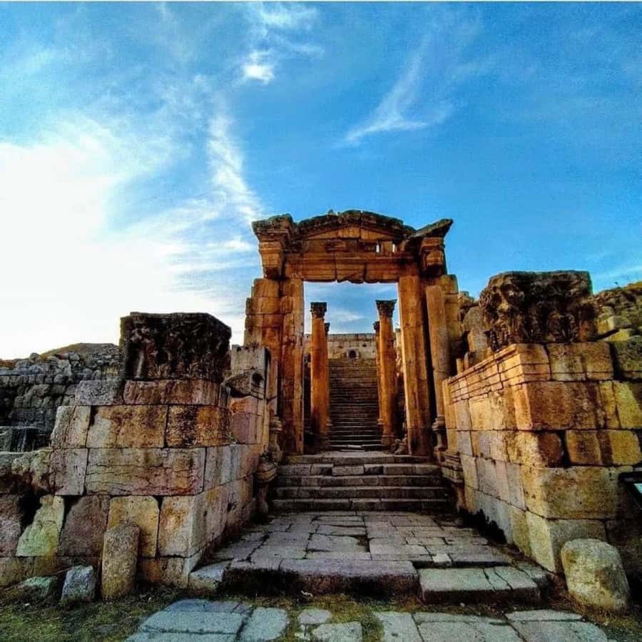 Day Tour Jerash and Amman City Tour From Amman - Who will get the most from this tour