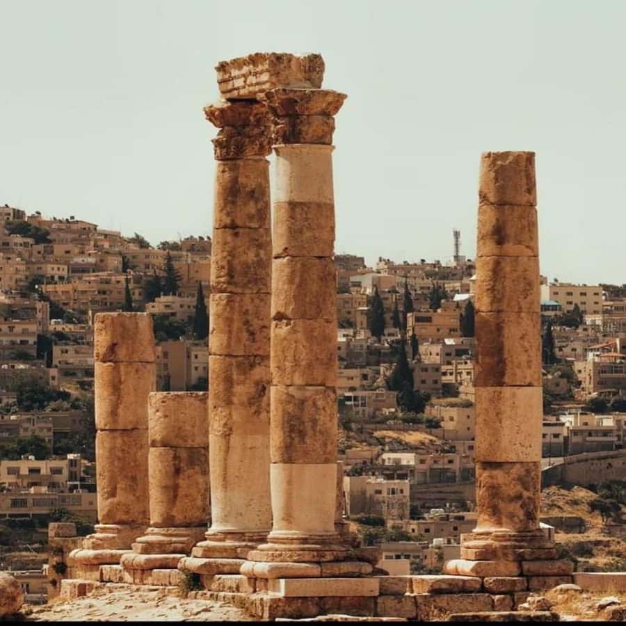 Day Tour Jerash and Amman City Tour From Amman - What the private transport adds