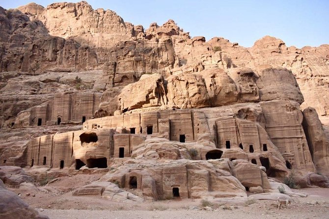 Day Tour to Petra from Amman - The Treasury, Royal Tombs, and Roman Theater