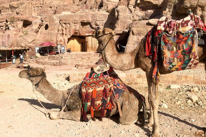 Day Tour to Petra from Aqaba - Key points before you book