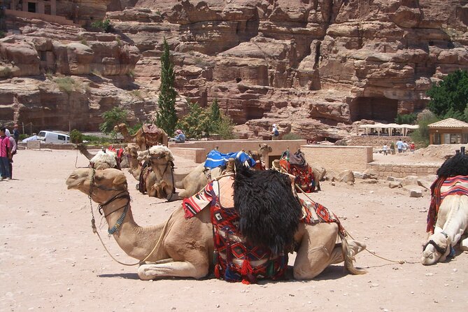 Day Tour to Petra from Dead Sea with lunch - The Street of Facades, Theatre, and Royal Tombs