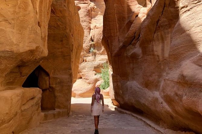 Day Tour to Petra from Dead Sea with lunch - The return ride to the Dead Sea