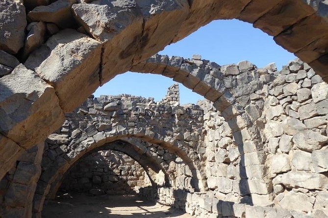 Desert Castles of Jordan Private Full-Day Tour from Amman - Is $139.99 good value?