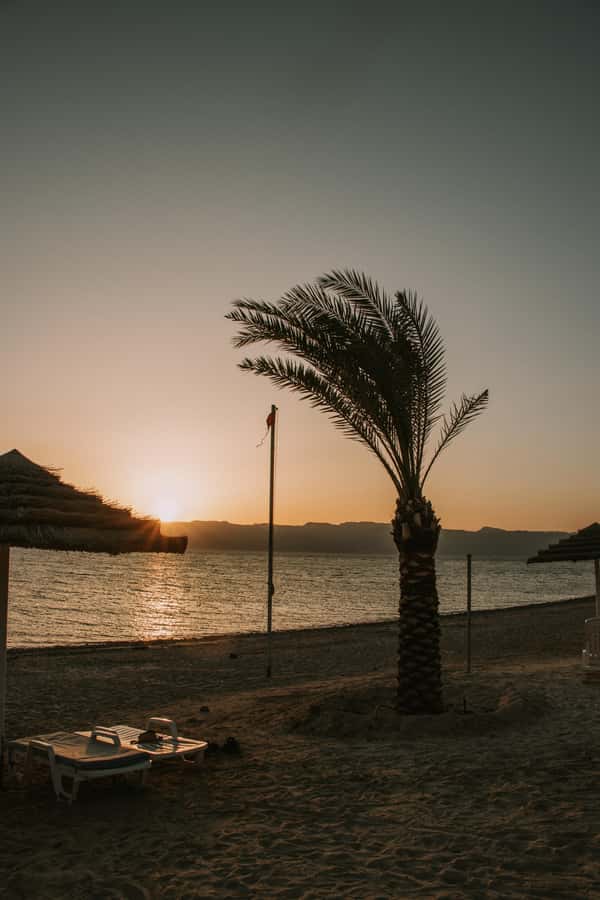 Discover Aqaba in Style: A 3-h City Tour by Car with meal - Who will get the most from this tour