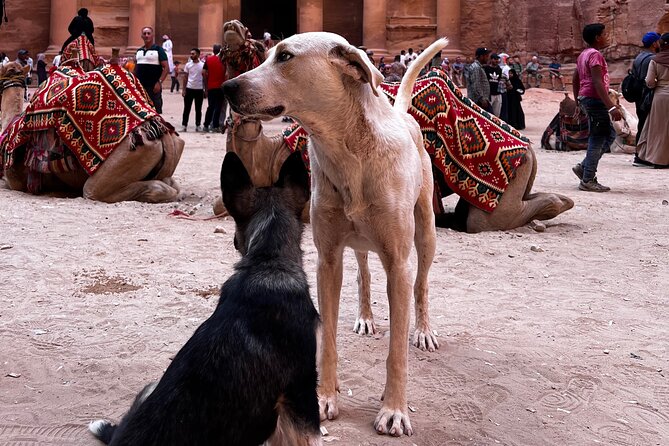 Discover Petra Hidden Gems - Ancient churches, castles, and burial chambers