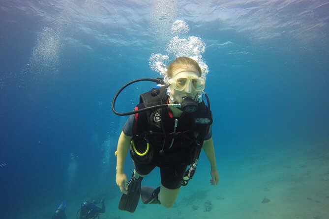 Discover the Depths: Aqaba's Ultimate private Dive Experience - Key points to know before booking