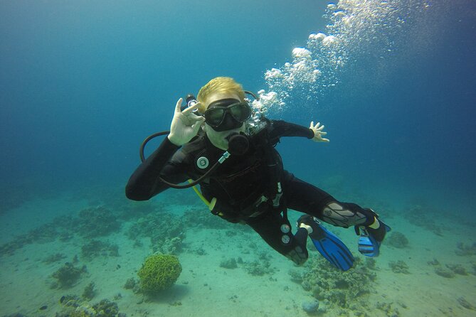 Discover the Depths: Aqaba's Ultimate private Dive Experience - The briefing matters more than the sightseeing