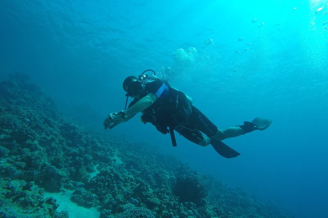 DSD "Discover Scuba Diving" (Min Age 10 Years) - Lunch, water, and a hot drink add real value