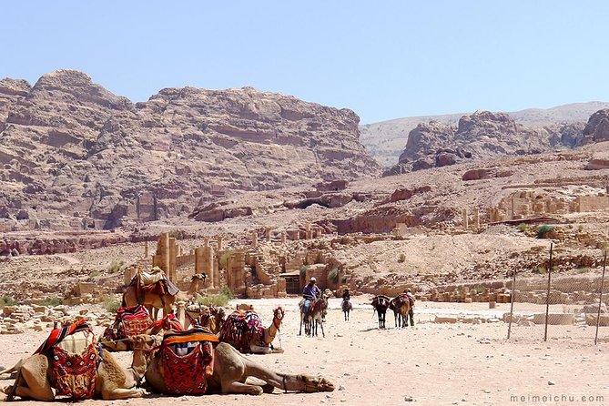Experience Petra & Wadi Rum in One Day From Amman - The main drawbacks to weigh before booking