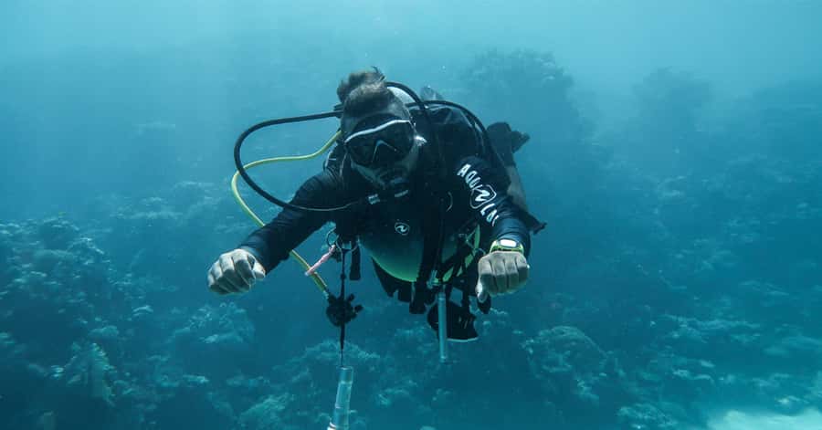 Explore Aqaba's Depths: Scuba Diving Tour, with Hotel Pickup - From Aqaba hotel to South Beach