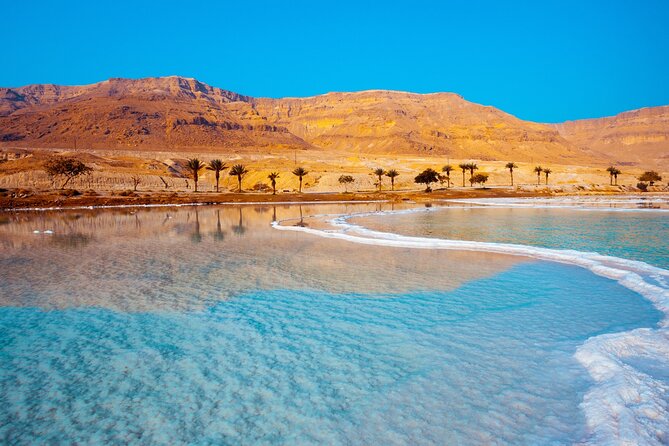 Explore Dead Sea Full day - Who will enjoy this Dead Sea day most?