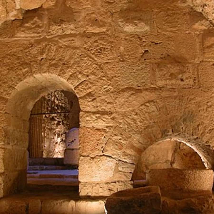 Explore Northern Jordan:Amman to Jerash, Ajloun,and Umm Qais - The car, group size, and long-day reality