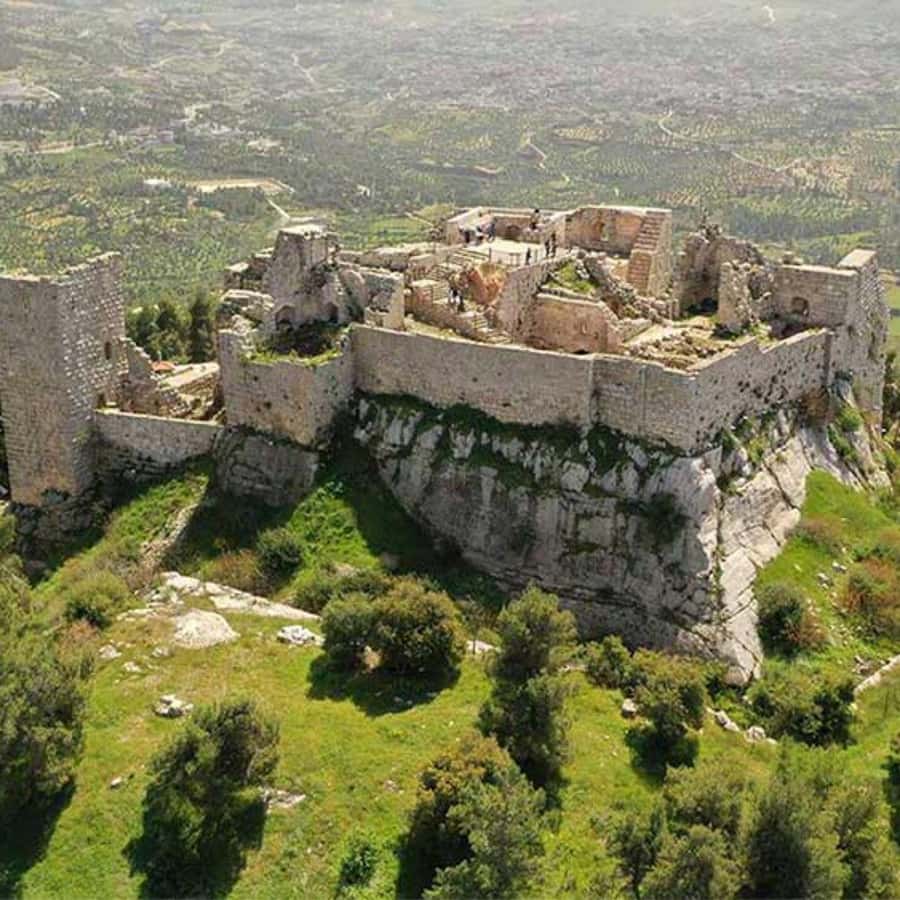 Explore Northern Jordan:Amman to Jerash, Ajloun,and Umm Qais - How much guiding should you expect?