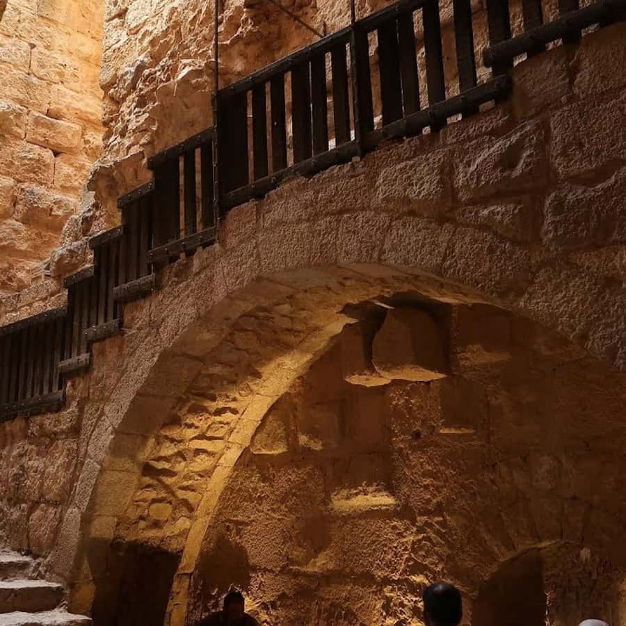Explore Northern Jordan:Amman to Jerash, Ajloun,and Umm Qais - Who will enjoy this tour most?