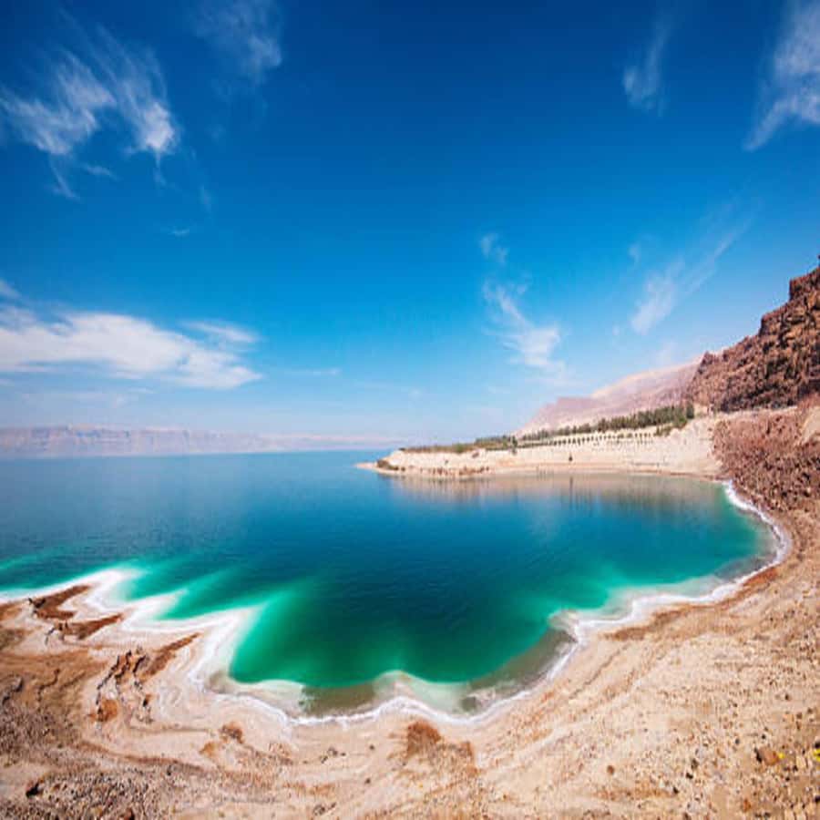Explore the Dead Sea on a Half-Day Tour From Amman - What floating in the Dead Sea feels like