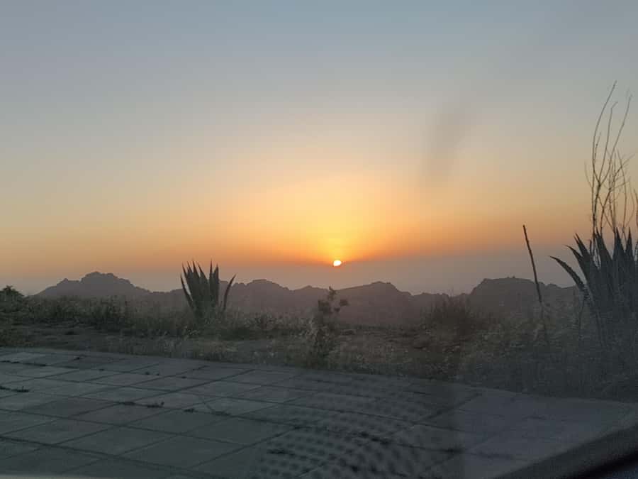 From Amman: 2-Day Petra, Wadi Rum, and Dead Sea Tour - Guides, language, and the human side