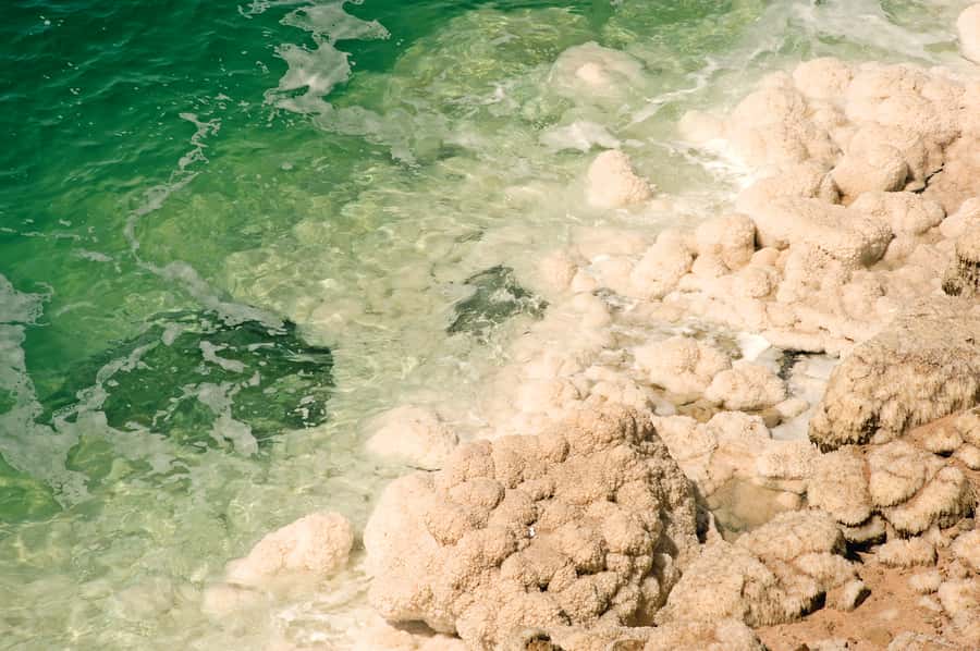 From Amman: 5-Hour Dead Sea Experience with Lunch & Return - Is $119 a fair price?