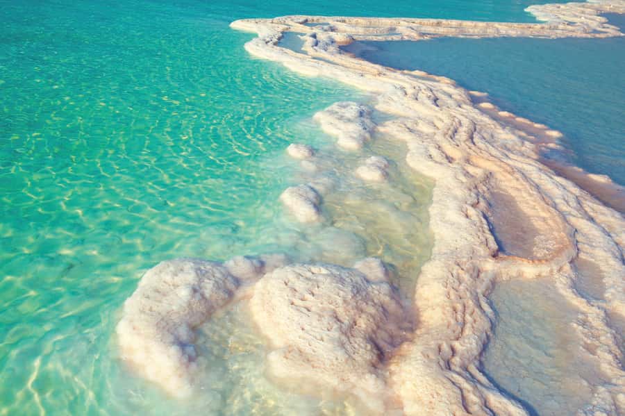 From Amman: 5-Hour Dead Sea Experience with Lunch & Return - Who should book this Dead Sea outing?