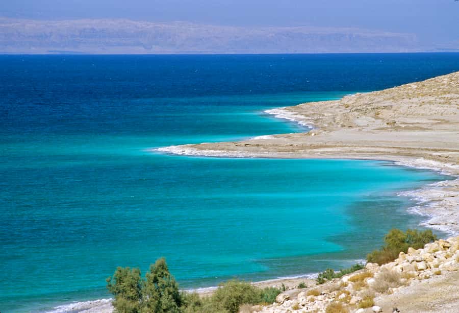 From Amman: 5-Hour Dead Sea Experience with Lunch & Return - Should you book it?