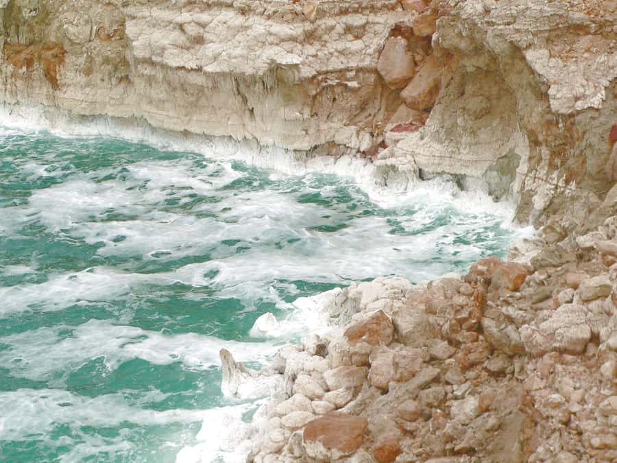 From Amman: 5-Hour Dead Sea Experience with Lunch & Return - Entering the five-star resort