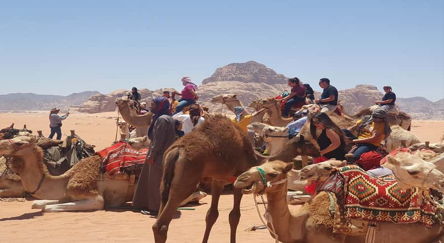 From Amman/Airport: 3-Night Private Jordan Special Tour - What this four-day Jordan route really gives you