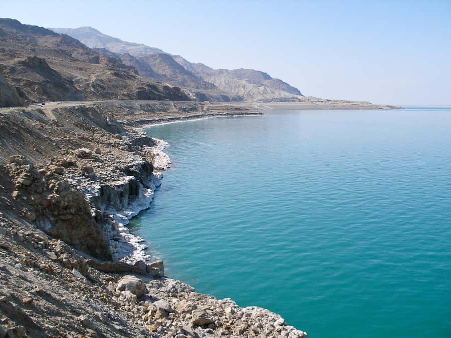 From Amman: Dead Sea 5-Star Resort Day Trip with Lunch - Why this Dead Sea day trip works well from Amman