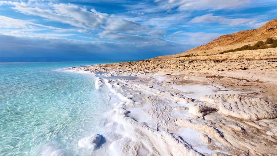 From Amman: Dead Sea 5-Star Resort Day Trip with Lunch - Reaching the Dead Sea resort
