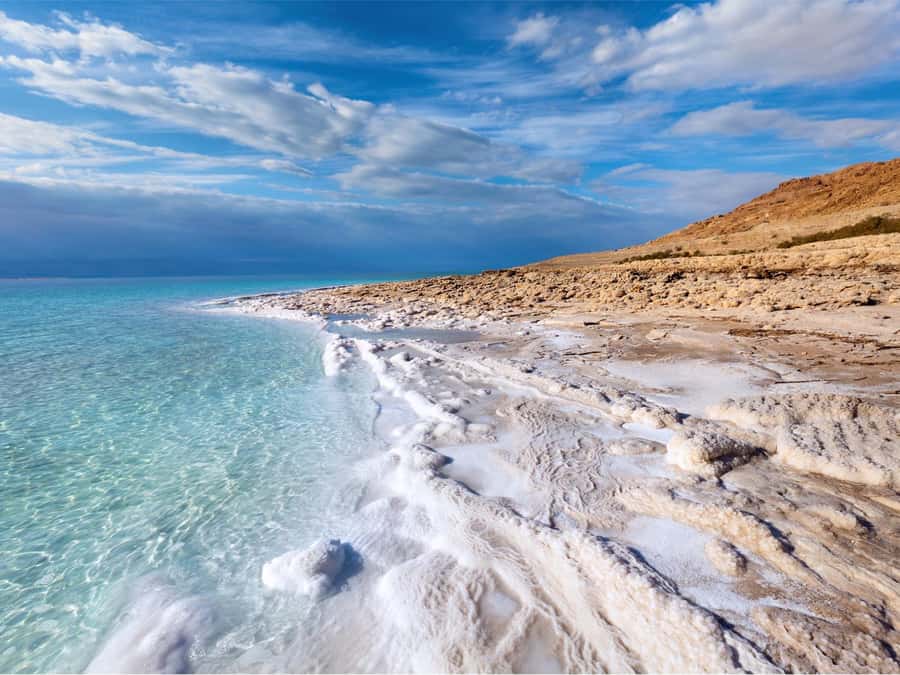 From Amman: Dead Sea 5-Star Resort Day Trip with Lunch - Pickup from Amman or the airport