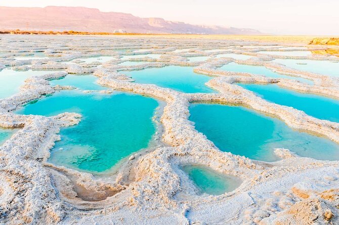 From Amman :Dead Sea ,baptism site,mount Nebo and Madaba Full day - Drivers, vehicles, and the level of guiding