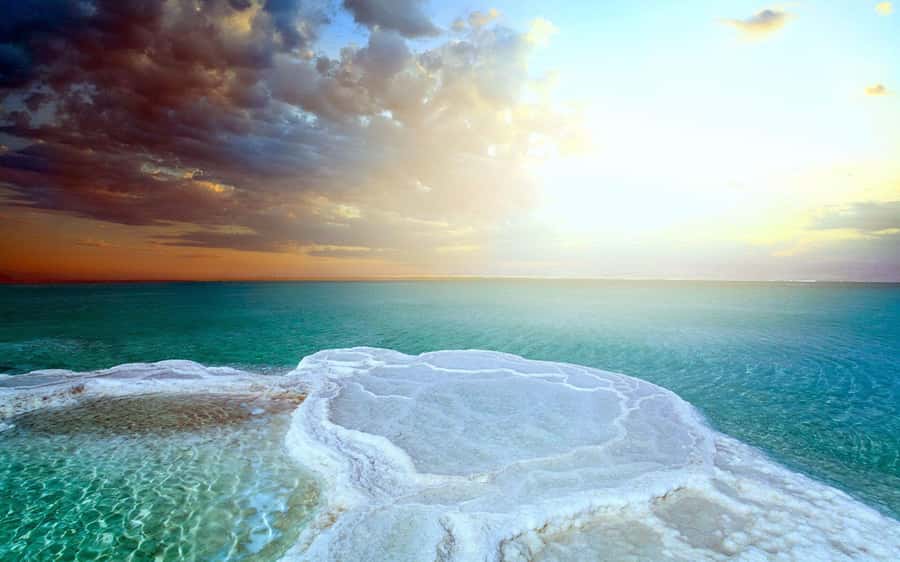 From Amman: Dead Sea, Mt Nebo, Madaba, Baptism full day trip - What the private car includes