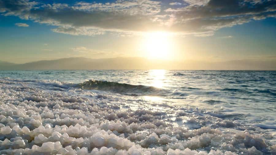 From Amman: Dead Sea, Mt Nebo, Madaba, Baptism full day trip - Final booking advice