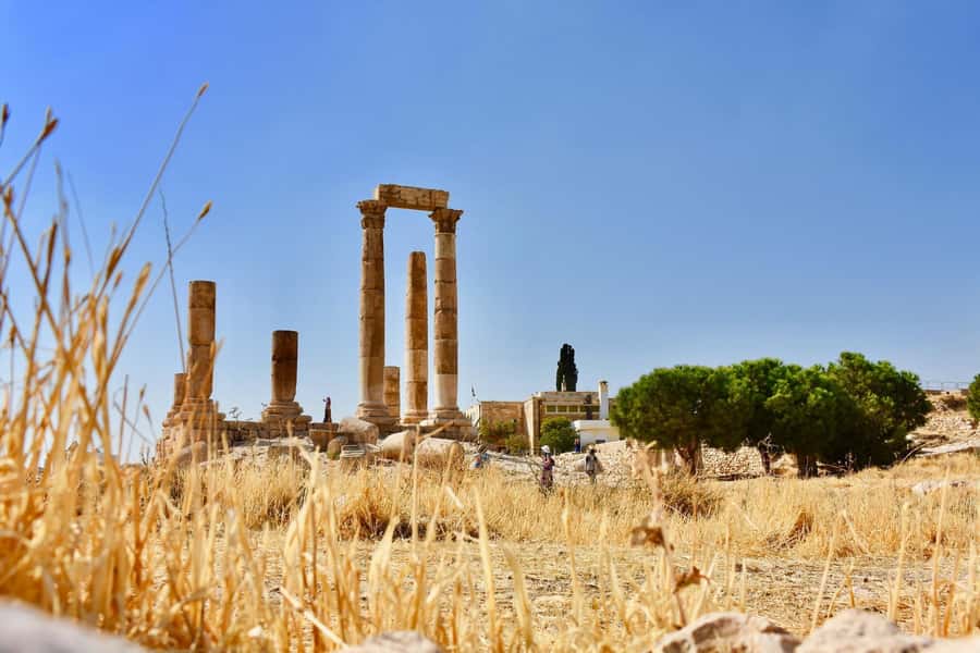 From Amman: Full day Jerash and Amman city Tour - What the private format adds