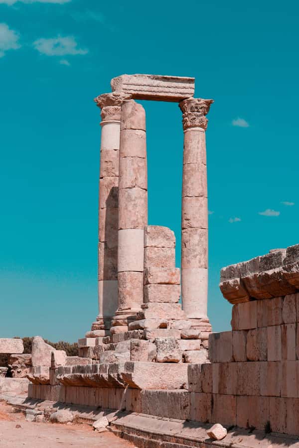 From Amman: Full day Jerash and Amman city Tour - Who should book this Amman and Jerash day