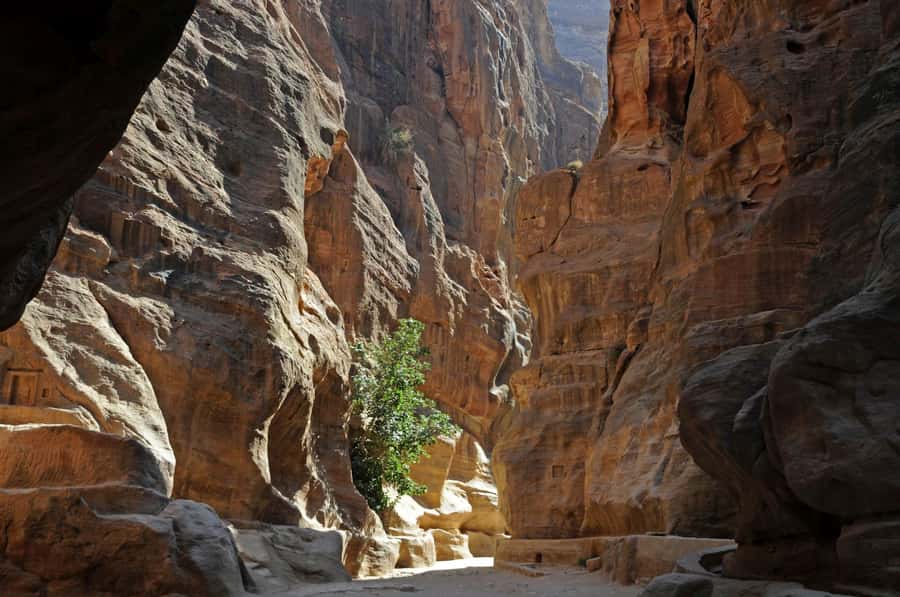 From Amman: Full-Day Private or Group Tour to Petra - Is $72 a fair price?