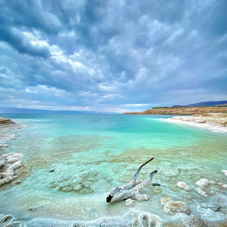 From Amman: Half-Day Tour to Dead Sea - The ride from Amman and the value of private transport