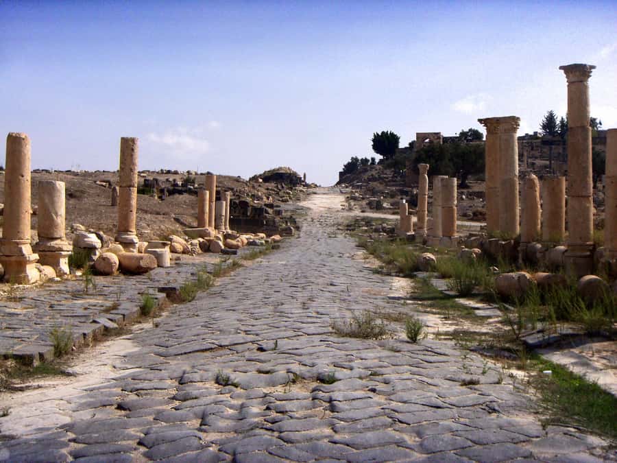 From Amman: Jerash, Ajloun Castle or Umm Qais Private Tour - Umm Qais: Roman ruins and wide regional views