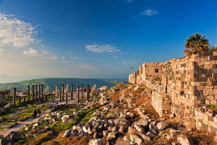 From Amman: Jerash, Ajloun Castle or Umm Qais Private Tour - Who will get the most from this tour