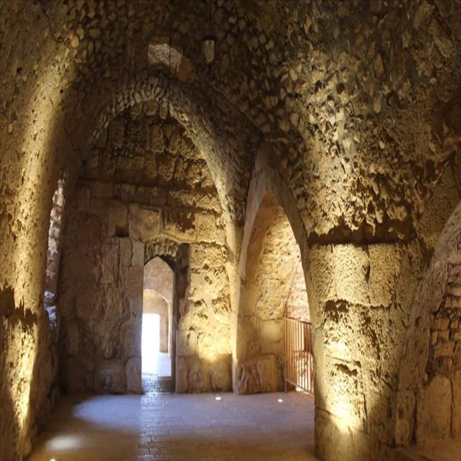 From Amman: Jerash &Ajloun &Um Qais Private Tour - Jerash gives you Jordan’s clearest Roman stop