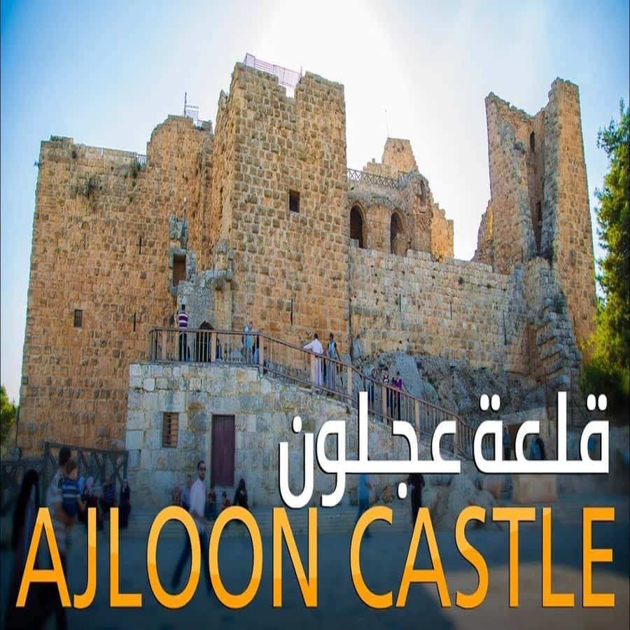 From Amman: Jerash &Ajloun &Um Qais Private Tour - Um Qais is the key point to clarify