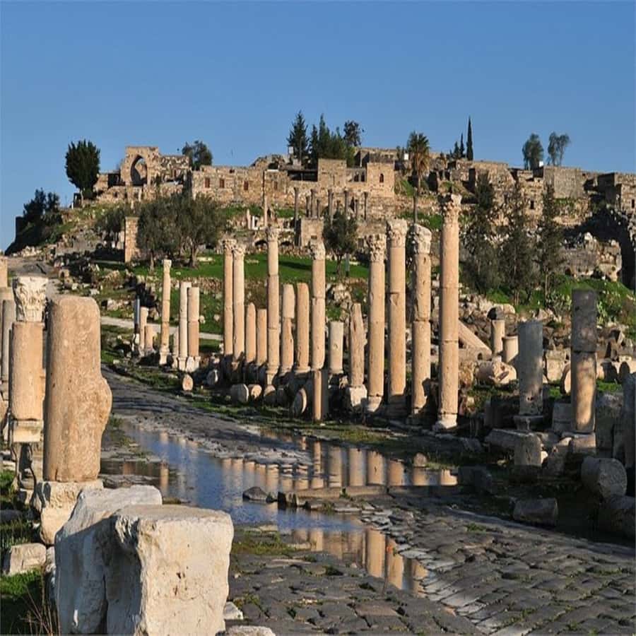 From Amman: Jerash &Ajloun &Um Qais Private Tour - What the $70 price really buys you