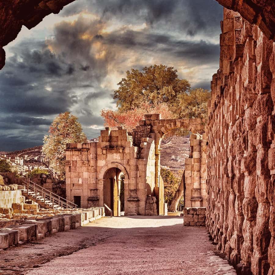 From Amman: Jerash &Ajloun &Um Qais Private Tour - Timing matters more than the headline duration