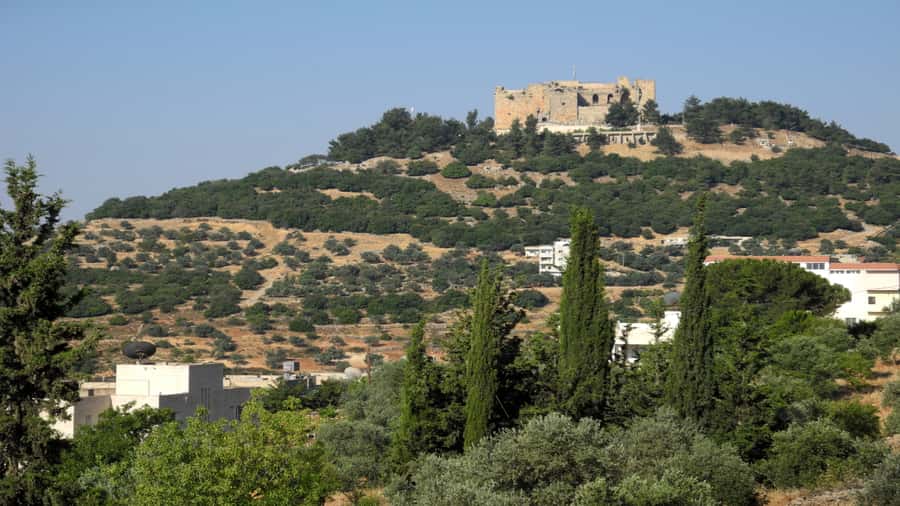 From Amman: Jerash and Ajloun Day Tour - What your driver adds to the day